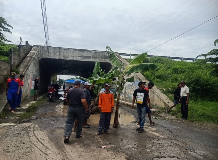 Unjukrasa warga desa Rancawuluh Brebes dengan menanam pohon pisang di tengah jalan yang rusak.